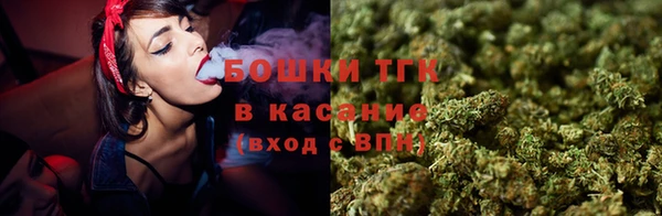 гашик Аркадак