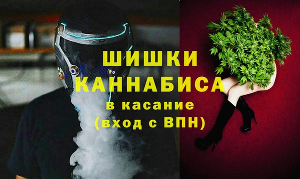 гашик Аркадак