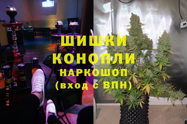 гашик Аркадак